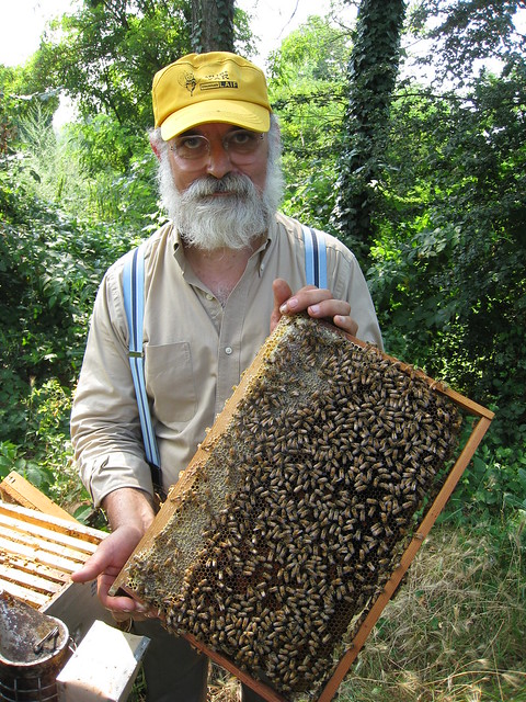 Massimo Carpinteri, Organic Beekeeper