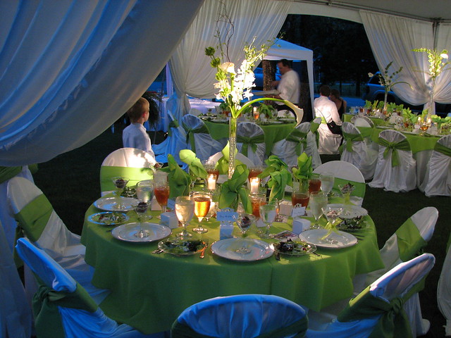 Wedding decorations Canopy After Dark 1