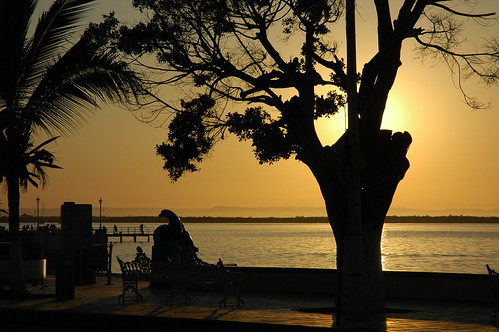 Silhouette tree, glowing sunset, bench, dolphin sculpture, Malecon (boardwalk), La Paz, Baja, Mexico by Wonderlane