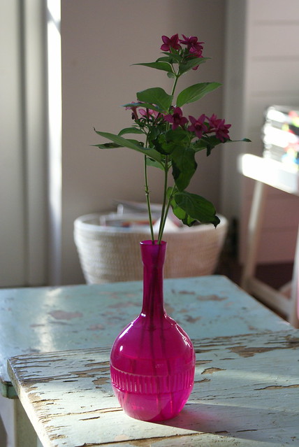 small vases love