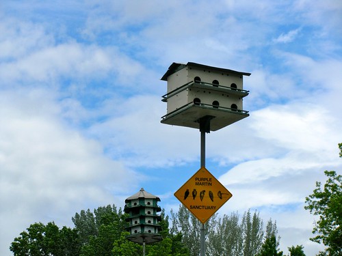 Apartment Bird Houses for Purple Martins in Hightstown, New Jersey by Bogdan Migulski