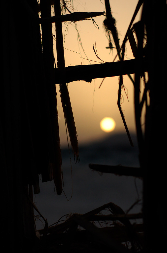 Sunset through beach hut window, Bir Ali, Yemen
