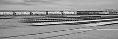 Union Pacific 844 Steam Train