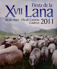 XVII edición de la Fiesta de La Lana en Caideros Gáldar Gran Canaria