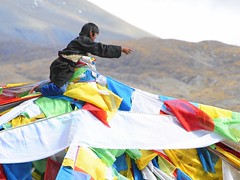Tibet 2008 Riding the Windhorse