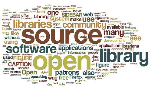 The Economics Of Open Source