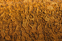 Rust and Texture