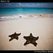 Starfish, Isla Mujeres (3)