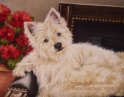 Westie Vintage Leather Chair Portrait Painting in Oil