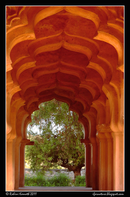 LotusMahal doorways