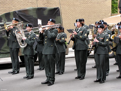 369th Regiment Annual Parade Day