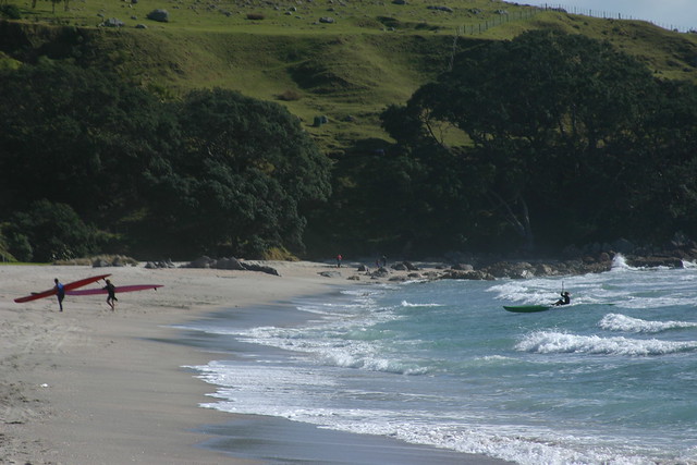 tauranga beach