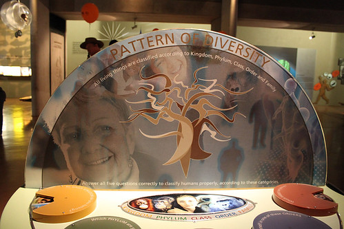 Pattern of diversity display, Africa, Maropeng exhibition, Cradle of Humankind