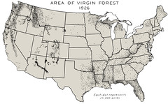 Virgin Forests in 1926