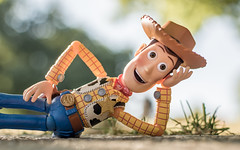 Woody's Adventures