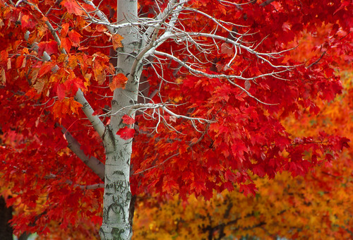 New Jersey Fall splendor by Photokit Durango