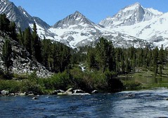 Inyo National Forest, 2009