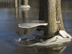 ICE SHELVES IN ASPHODEL PARK