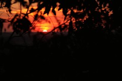 Angkor - Sunrise Sunset