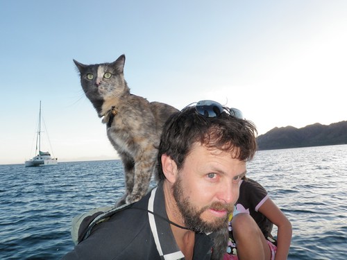 Our Boat Parrot is a Cat by toastfloats