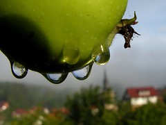 Drops and droplets (2)