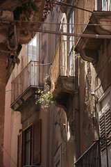 Sicily 2009
