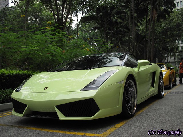 Verde Piccus Lamborghini Gallardo Spyder