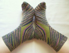 Divergent Socks
