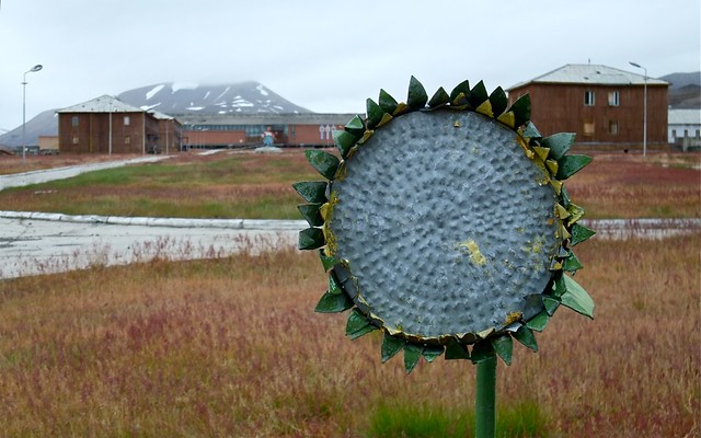 Sunflower farm (memorial)