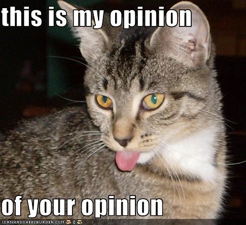funny-pictures-cat-hates-your-opinion