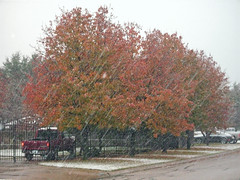 December 2, 2009 Snowstorm