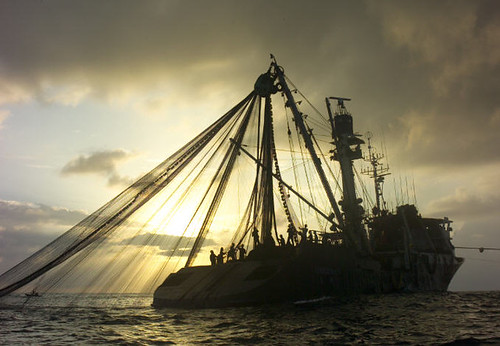 延繩釣船  2006 © Greenpeace / Alex Hofford