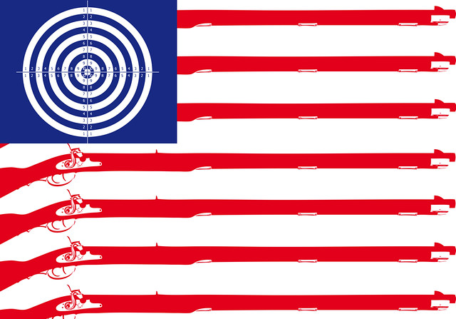 US NRA flag