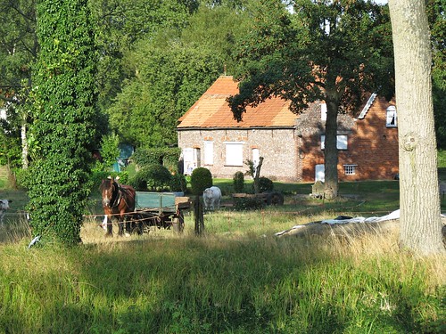 Boerderij met paard en kar