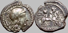 98/B1 Luceria anonymous LT Quinarius. Italic civic mint. V / Roma, Attic helmet; Dioscuri / ROMA. AM#09200-17, 1g73. No mintmark, but clearly the Attic-helmed pair of RRC 98/A3.