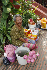 Cambodia Street Merchants January 2017