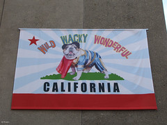 2009 California State Fair