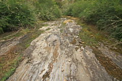 Limestone Flat Rock Outcrops