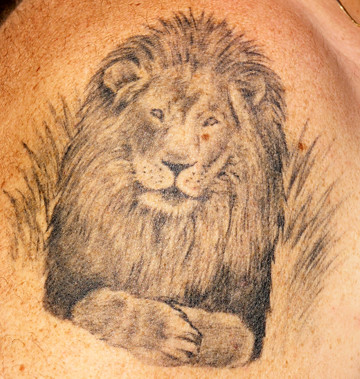  Lion tattoos for women