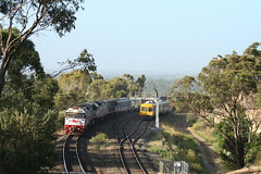 SA Trains January to June 2009