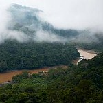 伊納姆巴里流經原始亞馬遜雨林。圖片節錄自：SPDA Actualidad Ambiental 相本。