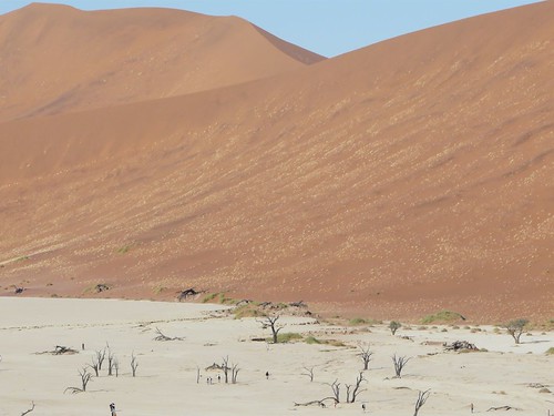 Photo Namib Desert (Namibia)