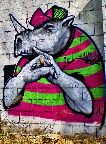 P4170036-graffitis by pelz