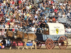More Pics from the rodeo