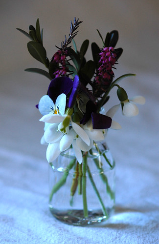 early spring flowers in small vase