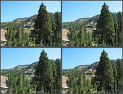 (Stereo) A Side Trip To Crater Lake National Park.