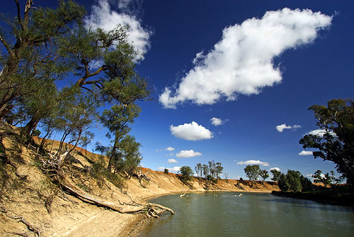Murrumbidgee River, Hay, New South Wales, Australia, The Long Paddock   IMG_5987_Hay