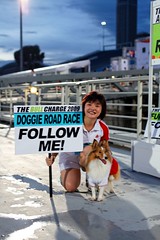 .: Doggie Road Race Nov 2009 :.