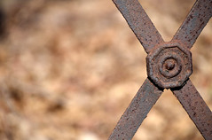 Rusty Fence Detail (III)