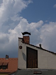 Bamberg July 2009